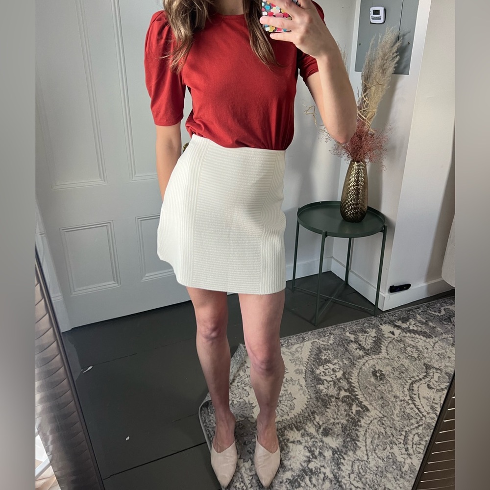 Theory Skirt - small